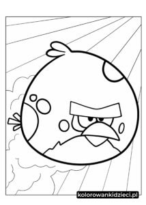 Angry-Birds-Terence