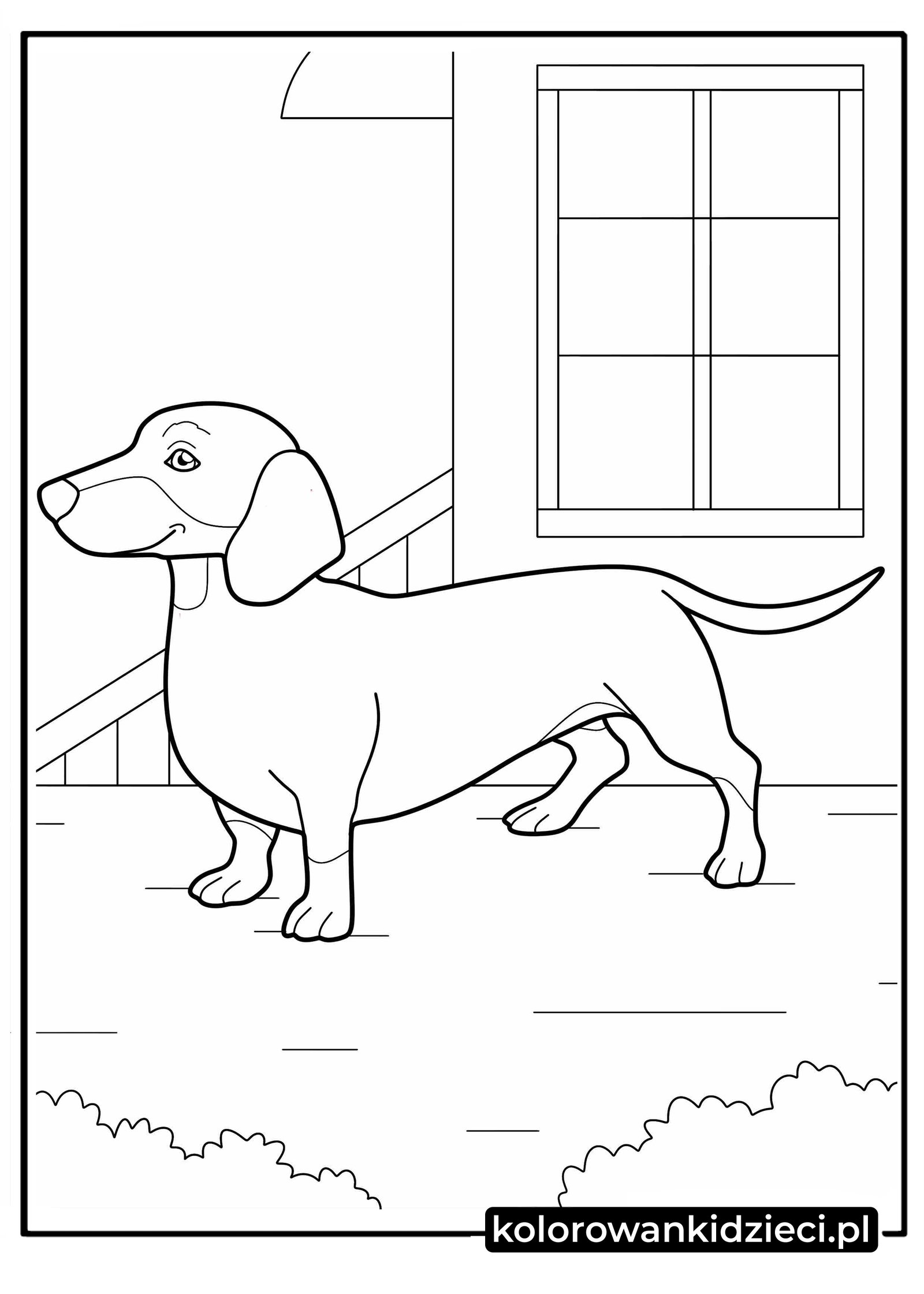 Jamnik przed domem kolorowanka – wesoły piesek z długim tułowiem stoi na werandzie